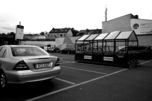 How to Book Limo Rental NJ for Business Meetings: The Complete Executive Guide